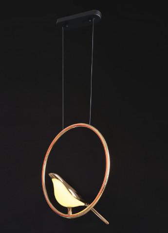 Люстра BL-999S/1 5W G/BK Brille (252372217)