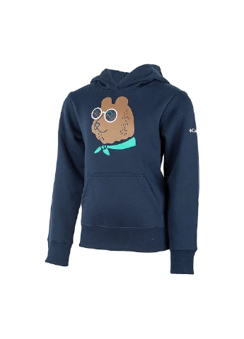 Кофта Basin Park Graphic Hoodie Columbia (254671467)