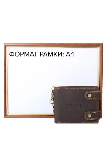 Чоловіче шкіряне портмоне 12х10х2 см Always Wild (232989895)