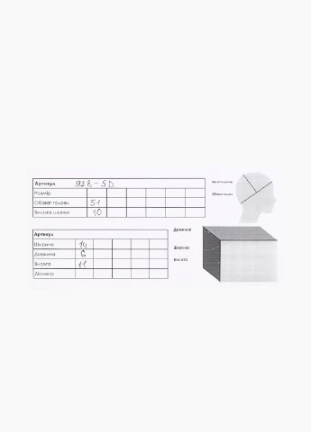 Капелюх та сумка No Brand (254172931)