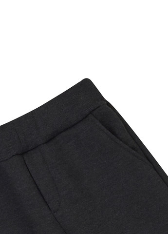 Темно-серые спортивные зимние джоггеры брюки Garnamama