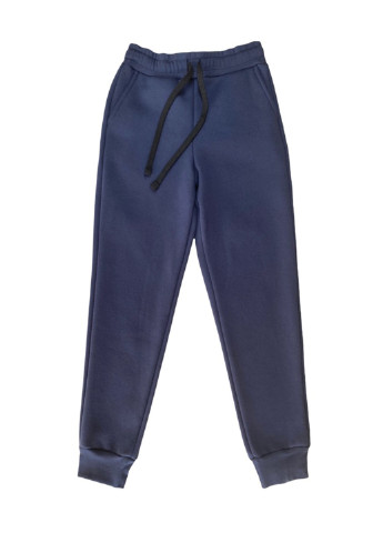 Серо-синие спортивные демисезонные брюки джоггеры Роза