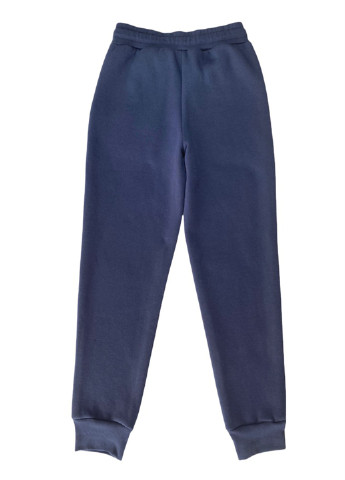 Серо-синие спортивные демисезонные брюки джоггеры Роза