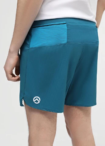 Шорты The North Face (330361472)