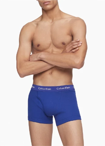 Труси (5 шт.) Calvin Klein (256797437)