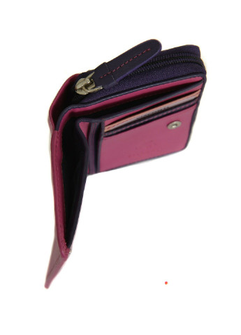 Женский кожаный кошелек RB53 - Hawaii Visconti (254312051)
