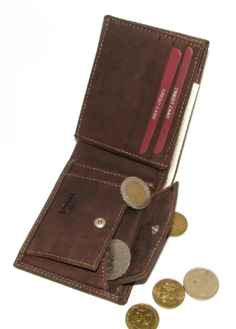 Кошелек мужской N1187-MHU BROWN Always Wild (253933027)
