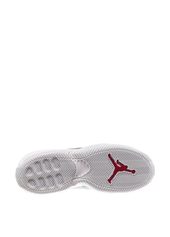 Чорно-білі Осінні кросівки dq8401-061 Jordan STAY LOYAL 2