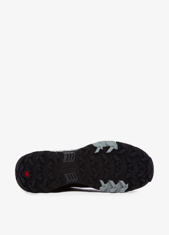 Черевики Salomon ULTRA 4 GTX M (329058346)