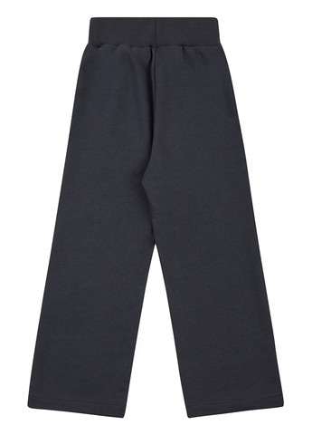 Серые спортивные демисезонные прямые брюки Garnamama