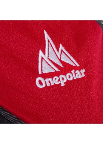 Чоловік спортивний рюкзак 29х44х24 см Onepolar (195582745)