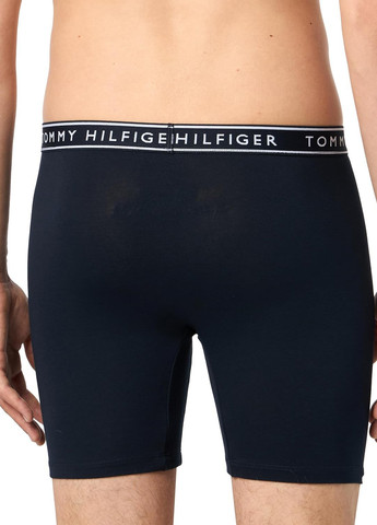 Труси (4 шт.) Tommy Hilfiger (352742863)