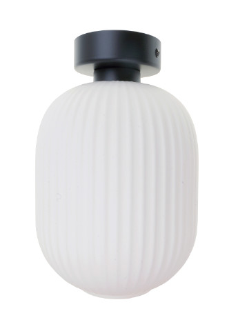 Люстра з рельєфним плафоном BR-01 476C/1 E27 WH Brille (251290932)