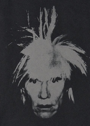 Сумка Uniqlo (328003856)