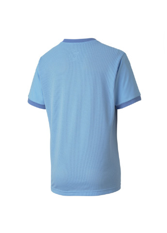 Синяя демисезонная футболка Puma