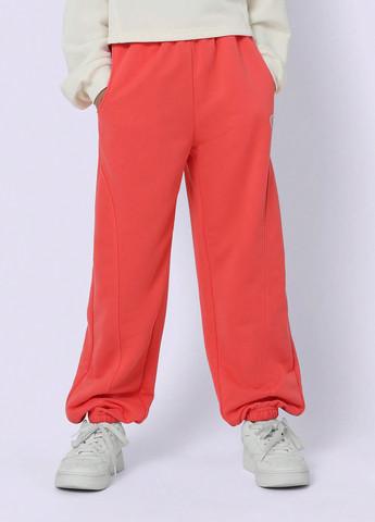 Розовые спортивные демисезонные джоггеры брюки SHEIN