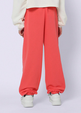 Розовые спортивные демисезонные джоггеры брюки SHEIN