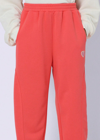 Розовые спортивные демисезонные джоггеры брюки SHEIN