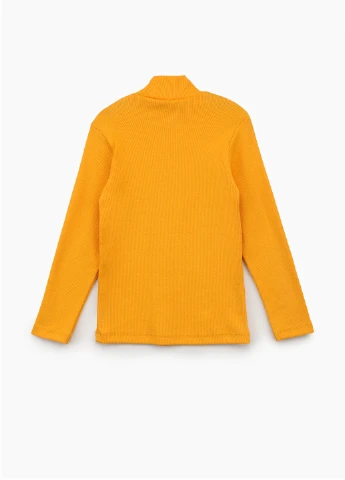 Водолазка Perix Kids (254697859)