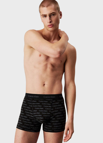 Труси (3 шт.) Calvin Klein (344545911)