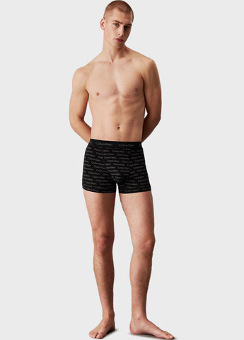 Труси (3 шт.) Calvin Klein (344545911)