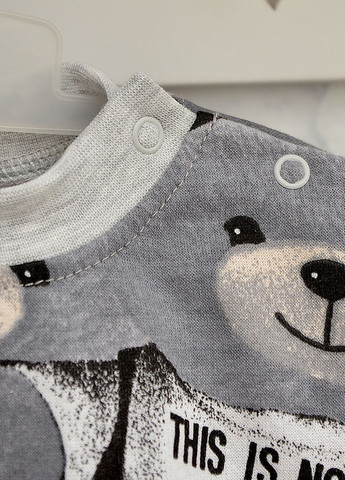 Серый демисезонный костюм (свитшот, брюки) Blanka