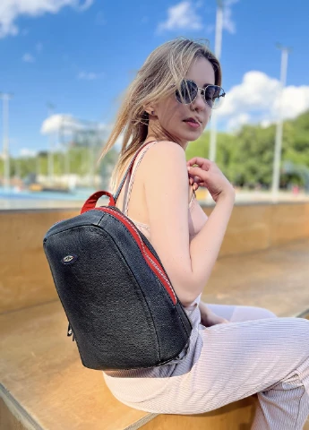 Рюкзак LeRo Gendos Brand (253734293)