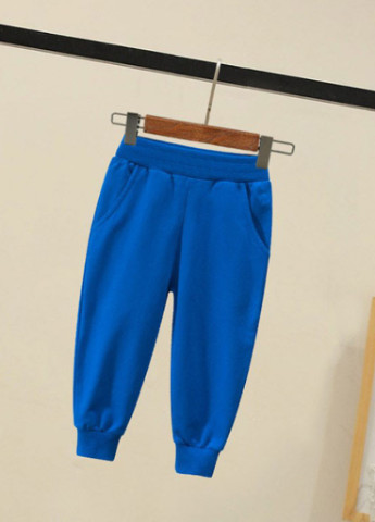 Синие спортивные демисезонные брюки 27 KIDS