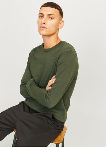 Зелений демісезонний джемпер джемпер Jack & Jones