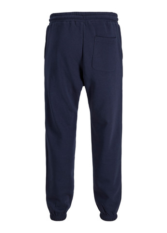 Штани Jack & Jones (352530814)