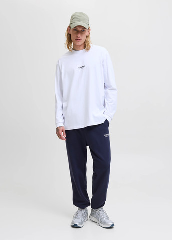 Штани Jack & Jones (352530814)