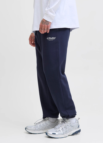 Штани Jack & Jones (352530814)