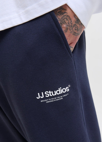 Штани Jack & Jones (352530814)