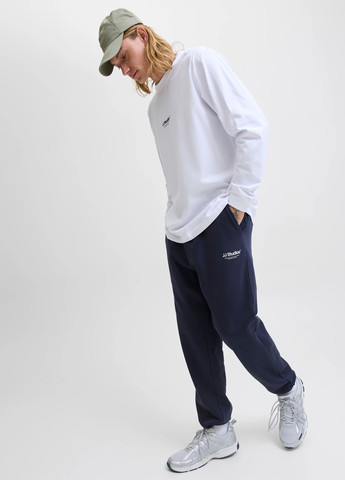 Штани Jack & Jones (352530814)