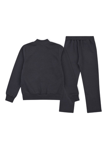Костюм (толстовка, штани) Garnamama (359368603)
