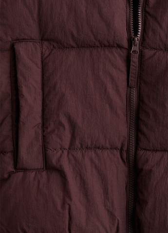 Сливова зимня куртка H&M