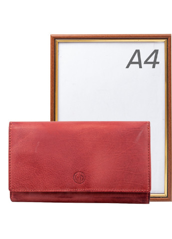 Жіночий шкіряний гаманець 18х10,5х3,5 см Lindenmann (253027339)