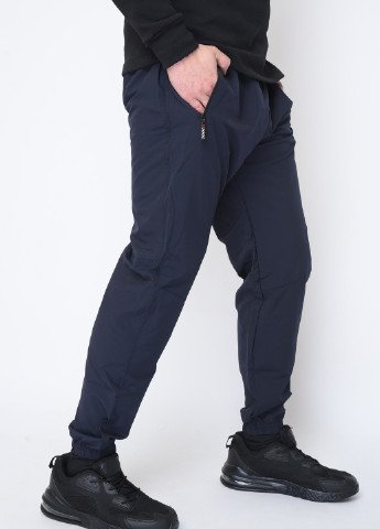 Спортивні чоловічі штани темно-синього кольору Let's Shop (256547539)