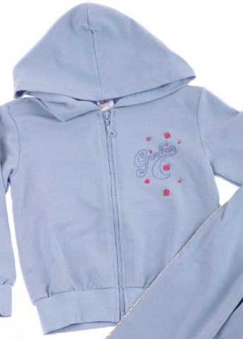 Голубой демисезонный костюм (толстовка, брюки) Valeri