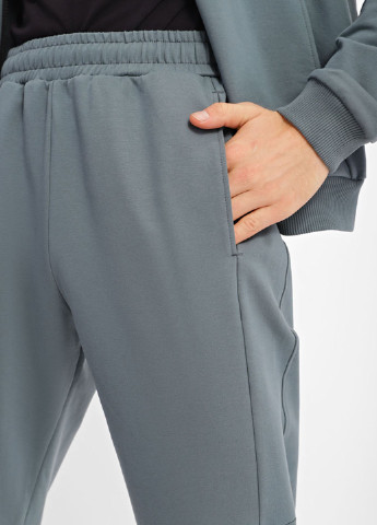 Серые спортивные демисезонные джоггеры брюки Promin