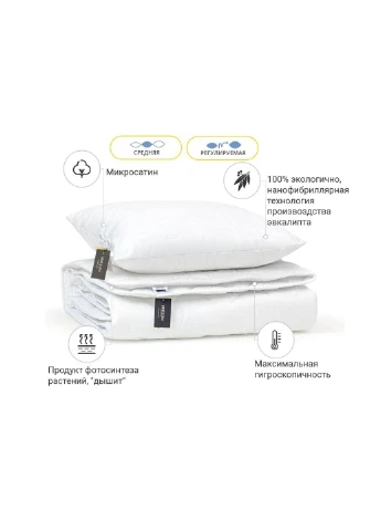 Одеяло Набор Эвкалиптовый №1699 Eco Light White Одеяло 220*240 + по (2200002655989) Mirson (254078384)