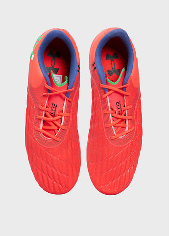 Кросівки Under Armour (268826721)