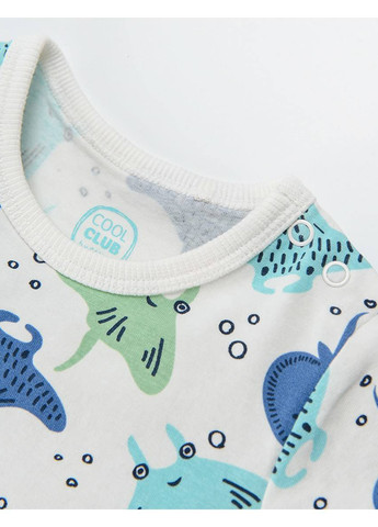 Боди Cool Club (317653666)