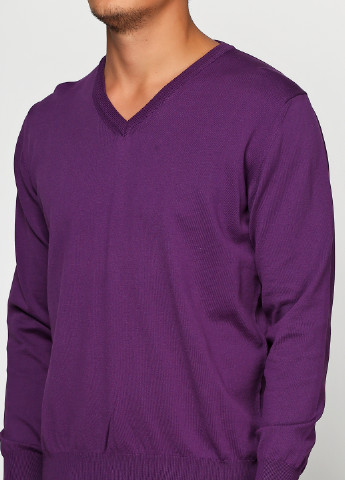 Фиолетовый демисезонный пуловер пуловер Barbieri