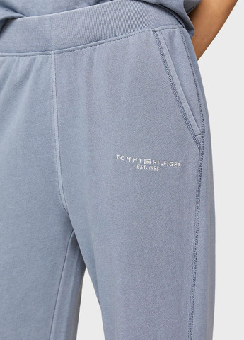Штани Tommy Hilfiger (307009207)