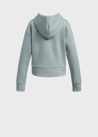 Худи Under Armour (328001298)