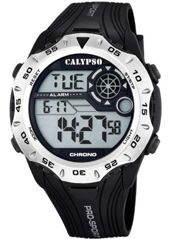 Часы наручные Calypso k5665/1 (250167229)