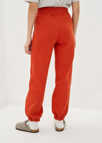 Оранжевые спортивные демисезонные брюки Forly