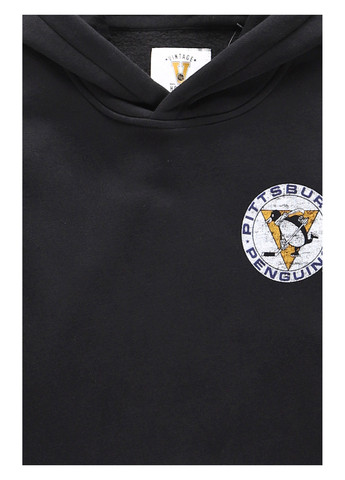 Худі Hollister (340453869)