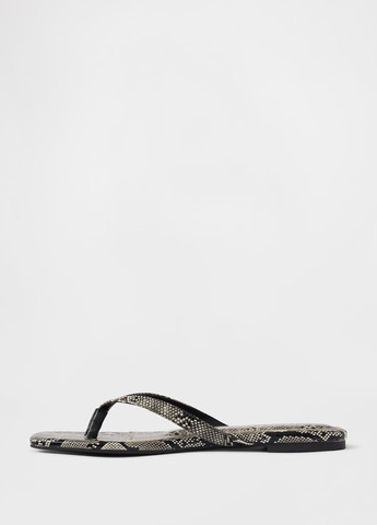 В'єтнамки Gap (369246738)